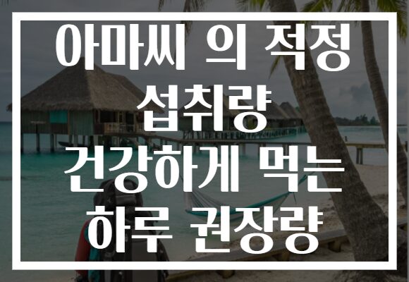 아마씨 의 적정 섭취량 건강하게 먹는 하루 권장량