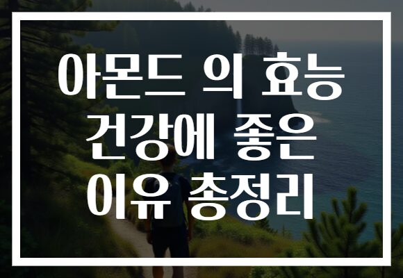 아몬드 의 효능 건강에 좋은 이유 총정리
