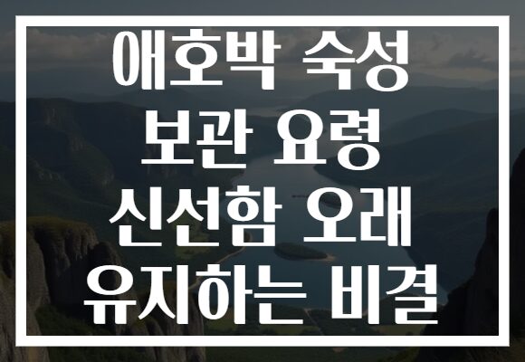 애호박 숙성 보관 요령 신선함 오래 유지하는 비결