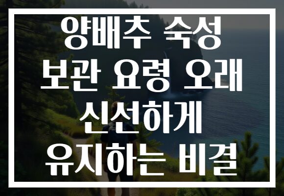 양배추 숙성 보관 요령 오래 신선하게 유지하는 비결