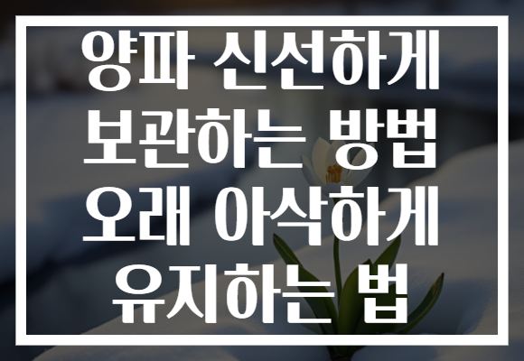 양파 신선하게 보관하는 방법 오래 아삭하게 유지하는 법