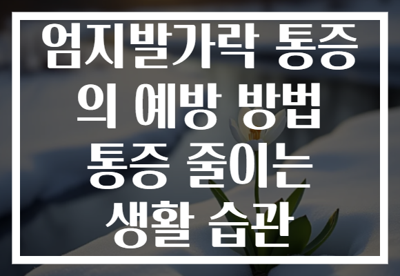 엄지발가락 통증 의 예방 방법 통증 줄이는 생활 습관