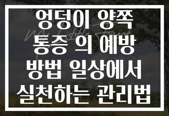 엉덩이 양쪽 통증 의 예방 방법 일상에서 실천하는 관리법