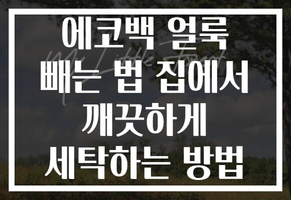 에코백 얼룩 빼는 법 집에서 깨끗하게 세탁하는 방법