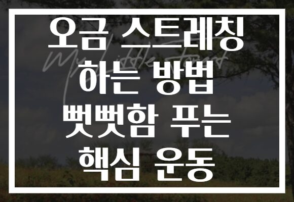 오금 스트레칭 하는 방법 뻣뻣함 푸는 핵심 운동
