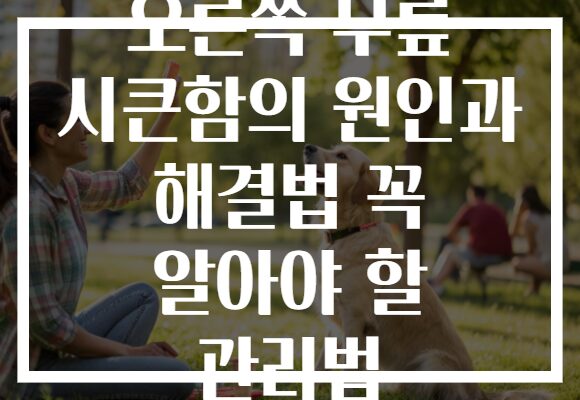 오른쪽 무릎 시큰함의 원인과 해결법 꼭 알아야 할 관리법
