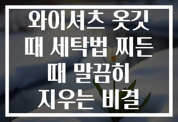와이셔츠 옷깃 때 세탁법 찌든 때 말끔히 지우는 비결