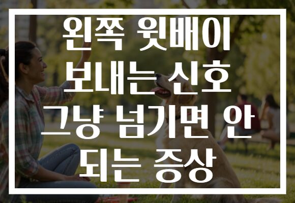 왼쪽 윗배이 보내는 신호 그냥 넘기면 안 되는 증상