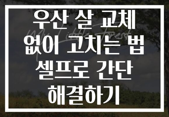 우산 살 교체 없이 고치는 법 셀프로 간단 해결하기