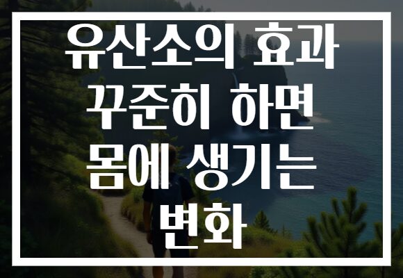 유산소의 효과 꾸준히 하면 몸에 생기는 변화