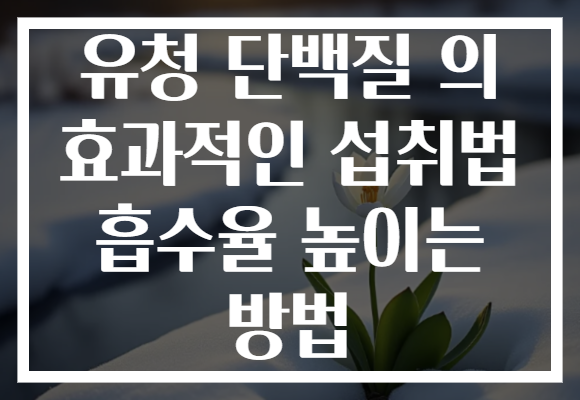유청 단백질 의 효과적인 섭취법 흡수율 높이는 방법