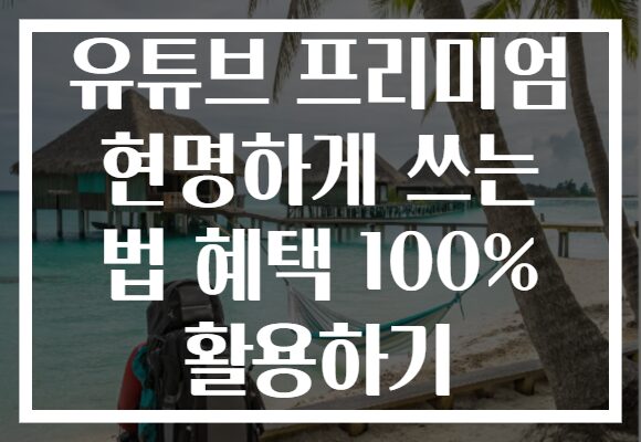 유튜브 프리미엄 현명하게 쓰는 법 혜택 100% 활용하기