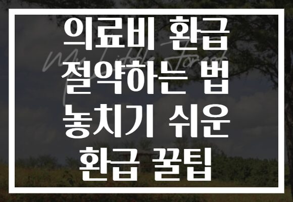 의료비 환급 절약하는 법 놓치기 쉬운 환급 꿀팁