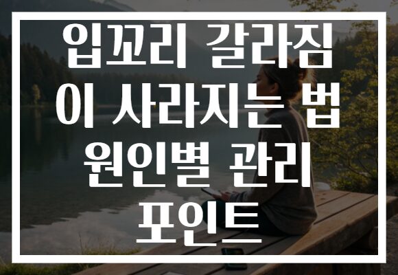 입꼬리 갈라짐 이 사라지는 법 원인별 관리 포인트