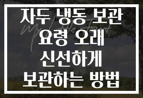 자두 냉동 보관 요령 오래 신선하게 보관하는 방법