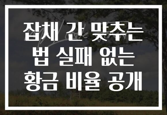 잡채 간 맞추는 법 실패 없는 황금 비율 공개