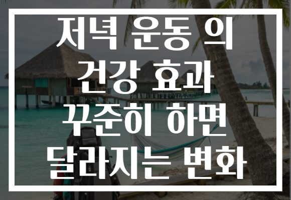 저녁 운동 의 건강 효과 꾸준히 하면 달라지는 변화
