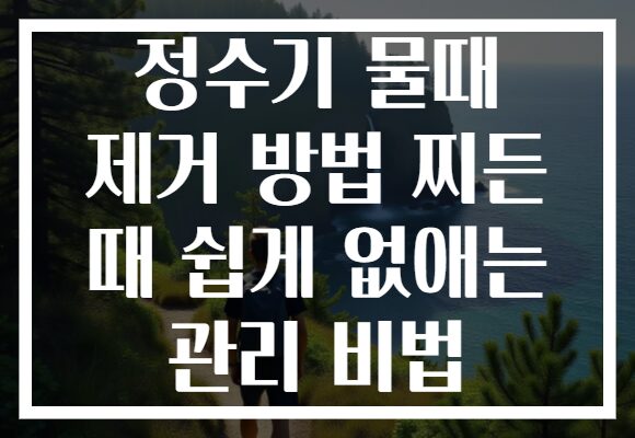 정수기 물때 제거 방법 찌든 때 쉽게 없애는 관리 비법