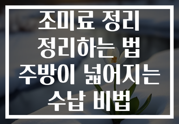 조미료 정리 정리하는 법 주방이 넓어지는 수납 비법