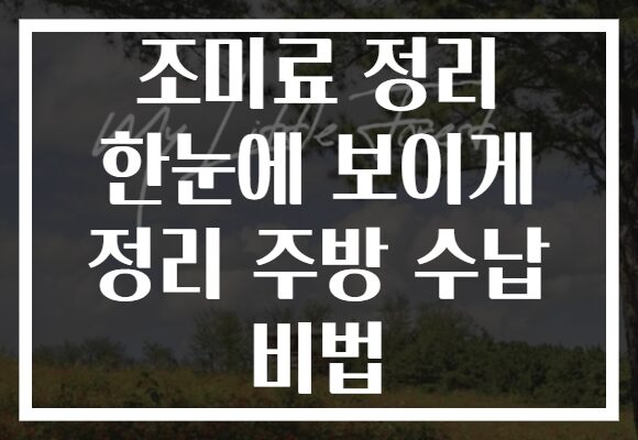 조미료 정리 한눈에 보이게 정리 주방 수납 비법
