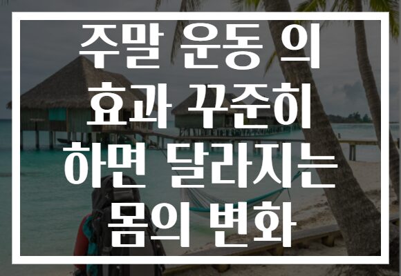 주말 운동 의 효과 꾸준히 하면 달라지는 몸의 변화