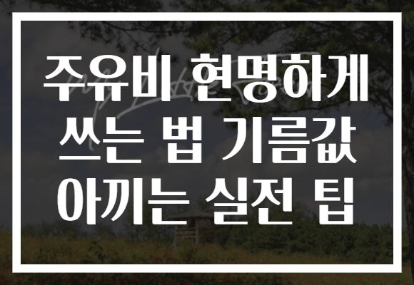 주유비 현명하게 쓰는 법 기름값 아끼는 실전 팁