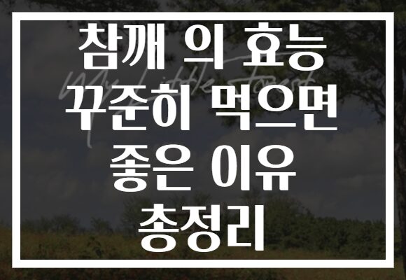 참깨 의 효능 꾸준히 먹으면 좋은 이유 총정리