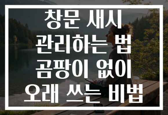 창문 새시 관리하는 법 곰팡이 없이 오래 쓰는 비법