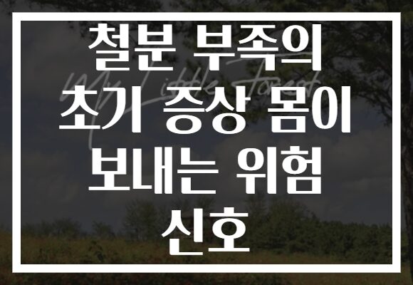 철분 부족의 초기 증상 몸이 보내는 위험 신호