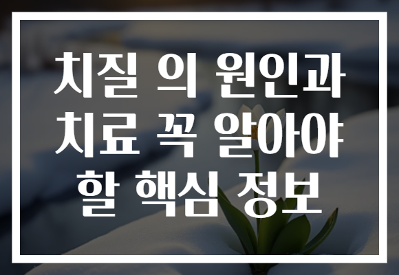 치질 의 원인과 치료 꼭 알아야 할 핵심 정보