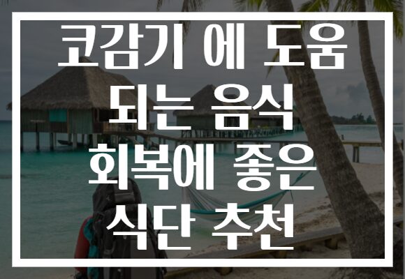 코감기 에 도움 되는 음식 회복에 좋은 식단 추천