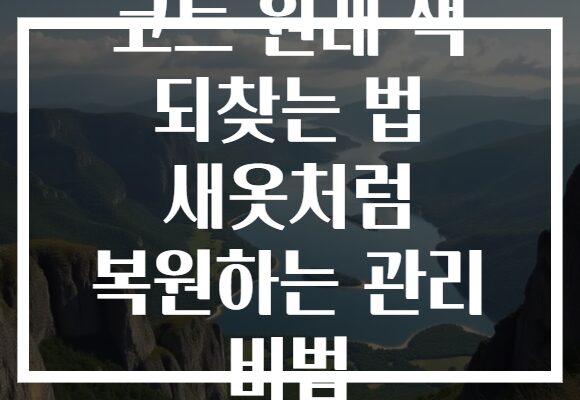 코트 원래 색 되찾는 법 새옷처럼 복원하는 관리 비법