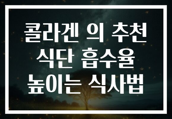 콜라겐 의 추천 식단 흡수율 높이는 식사법