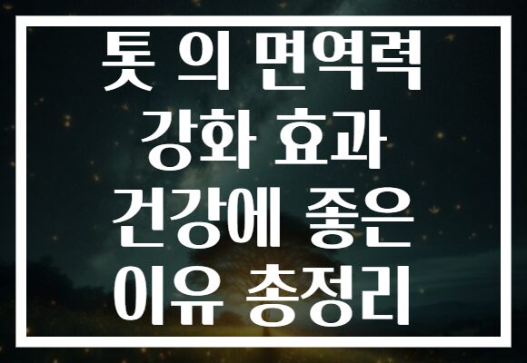 톳 의 면역력 강화 효과 건강에 좋은 이유 총정리