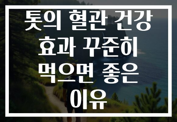 톳의 혈관 건강 효과 꾸준히 먹으면 좋은 이유