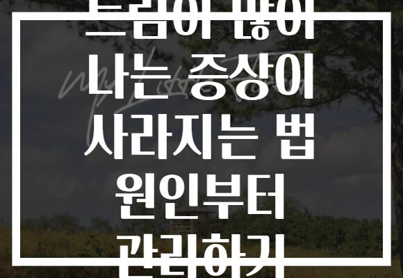 트림이 많이 나는 증상이 사라지는 법 원인부터 관리하기