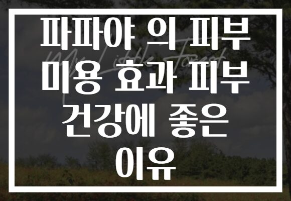 파파야 의 피부 미용 효과 피부 건강에 좋은 이유