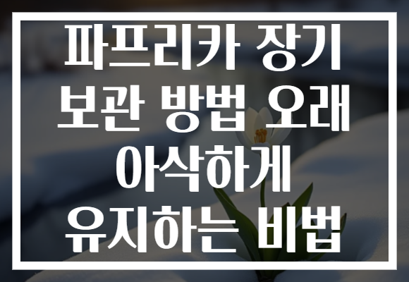 파프리카 장기 보관 방법 오래 아삭하게 유지하는 비법