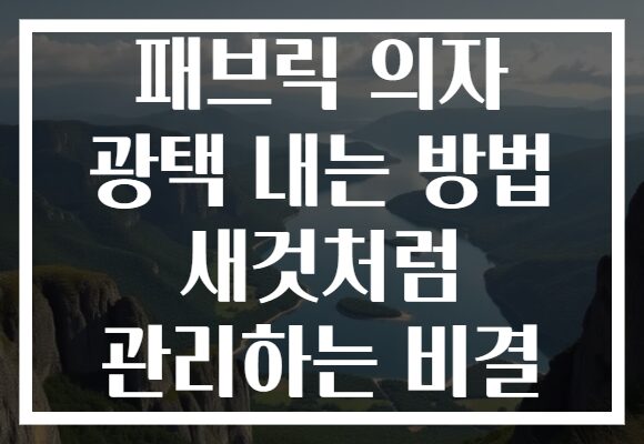 패브릭 의자 광택 내는 방법 새것처럼 관리하는 비결