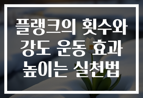 플랭크의 횟수와 강도 운동 효과 높이는 실천법