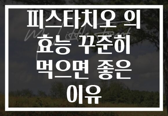 피스타치오 의 효능 꾸준히 먹으면 좋은 이유