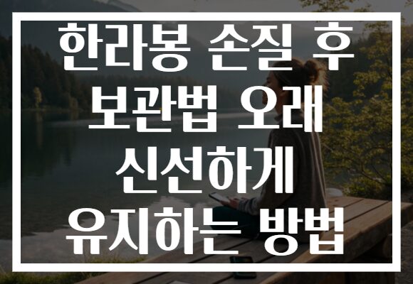 한라봉 손질 후 보관법 오래 신선하게 유지하는 방법