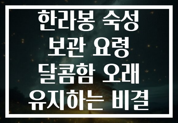 한라봉 숙성 보관 요령 달콤함 오래 유지하는 비결