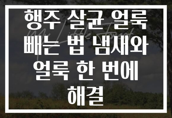 행주 살균 얼룩 빼는 법 냄새와 얼룩 한 번에 해결