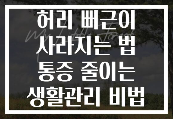 허리 뻐근이 사라지는 법 통증 줄이는 생활관리 비법