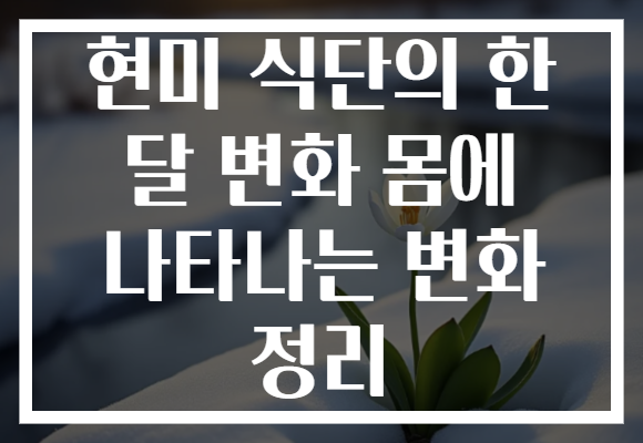 현미 식단의 한 달 변화 몸에 나타나는 변화 정리