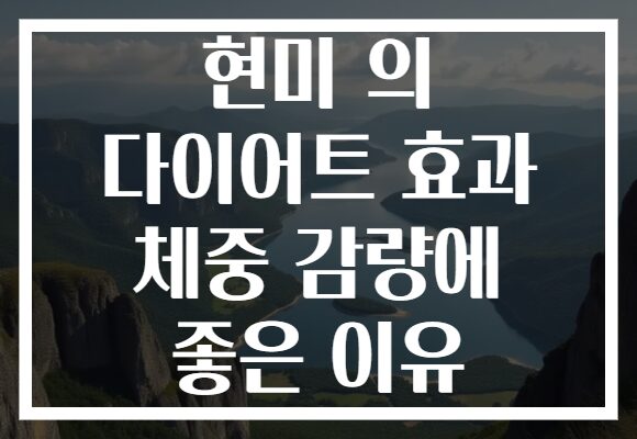 현미 의 다이어트 효과 체중 감량에 좋은 이유