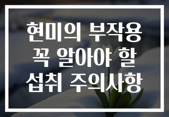 현미의 부작용 꼭 알아야 할 섭취 주의사항