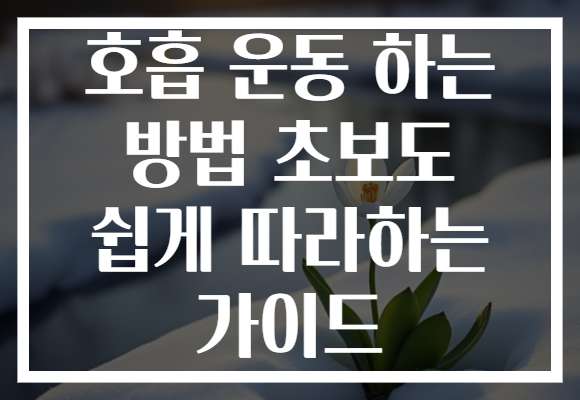 호흡 운동 하는 방법 초보도 쉽게 따라하는 가이드