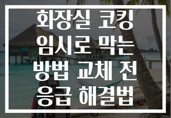화장실 코킹 임시로 막는 방법 교체 전 응급 해결법